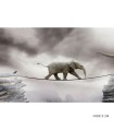 پوستر دیواری 3D کاغذی طرح فیل