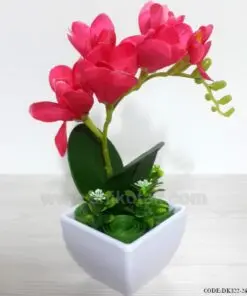 گلدان گل ارکیده