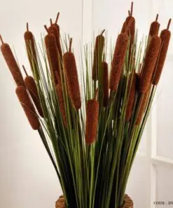 گل نی لوئی